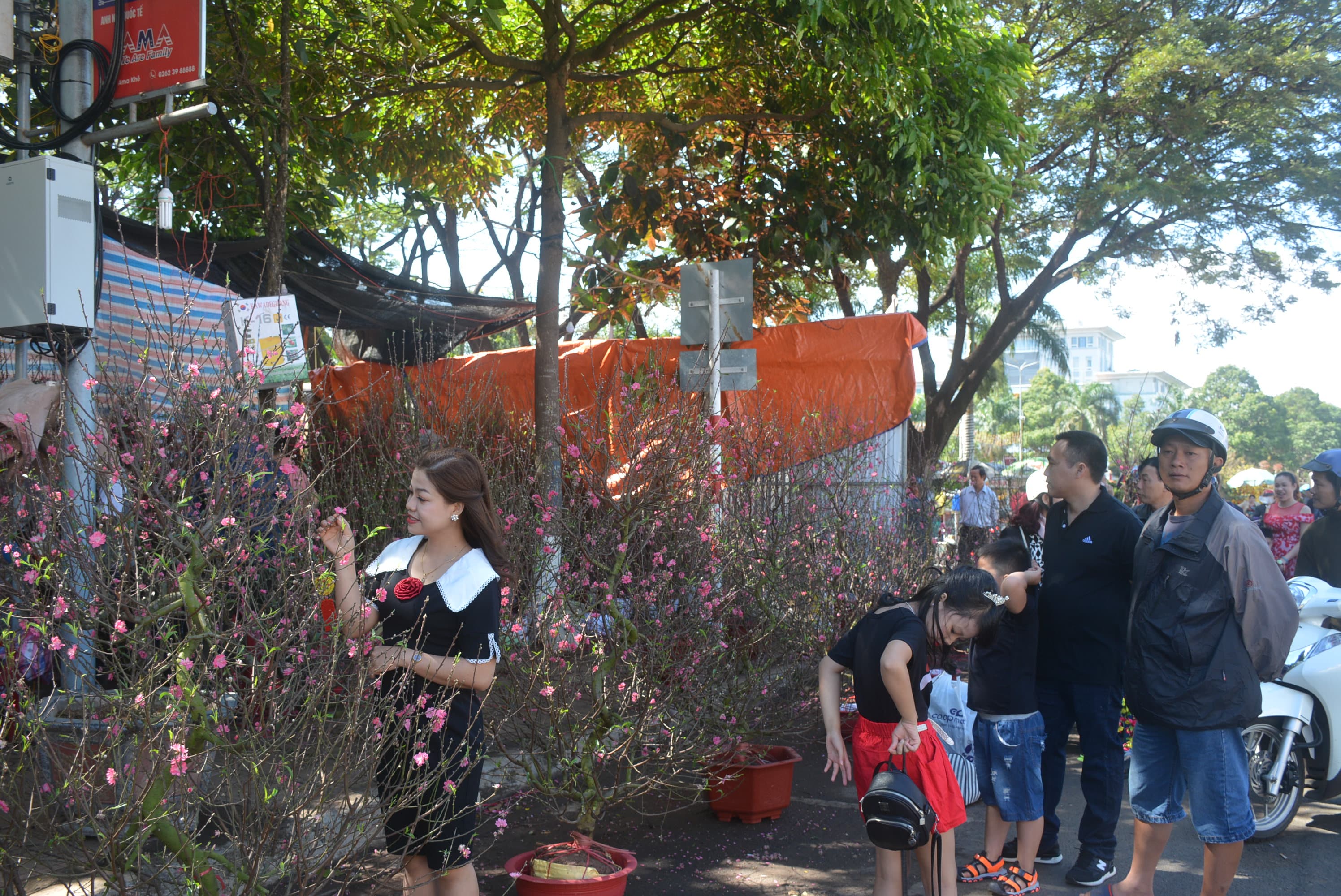 Sắc Xuân chợ hoa Buôn Ma Thuột