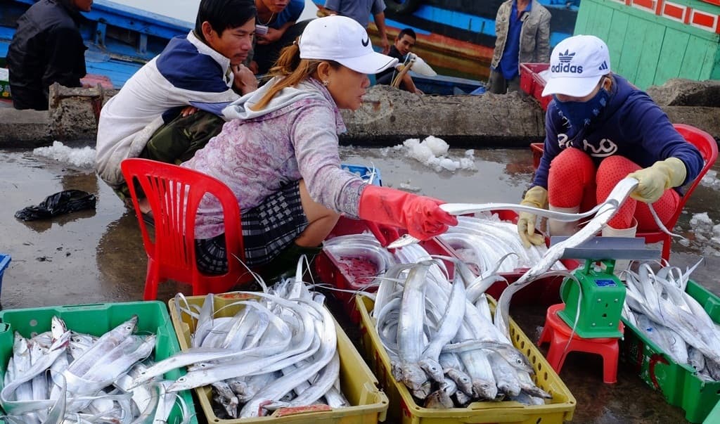 Ngư dân miền Trung bội thu mùa Tết