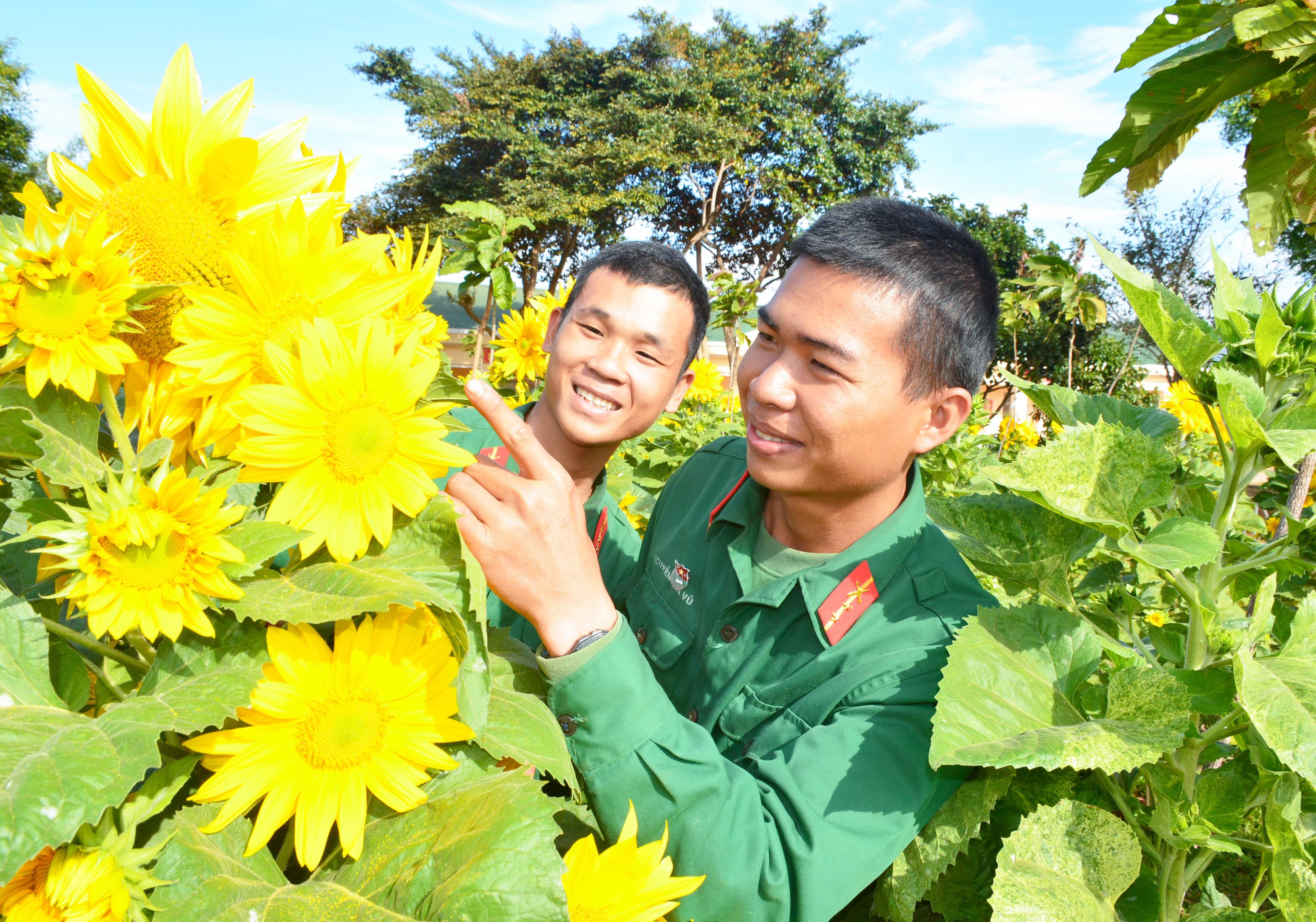 Sắc xuân ở Sư đoàn 320
