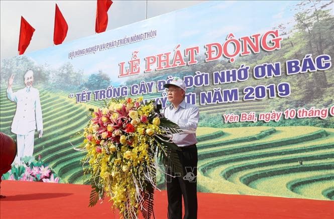 Trồng cây mang lại lợi ích to lớn cho đất nước