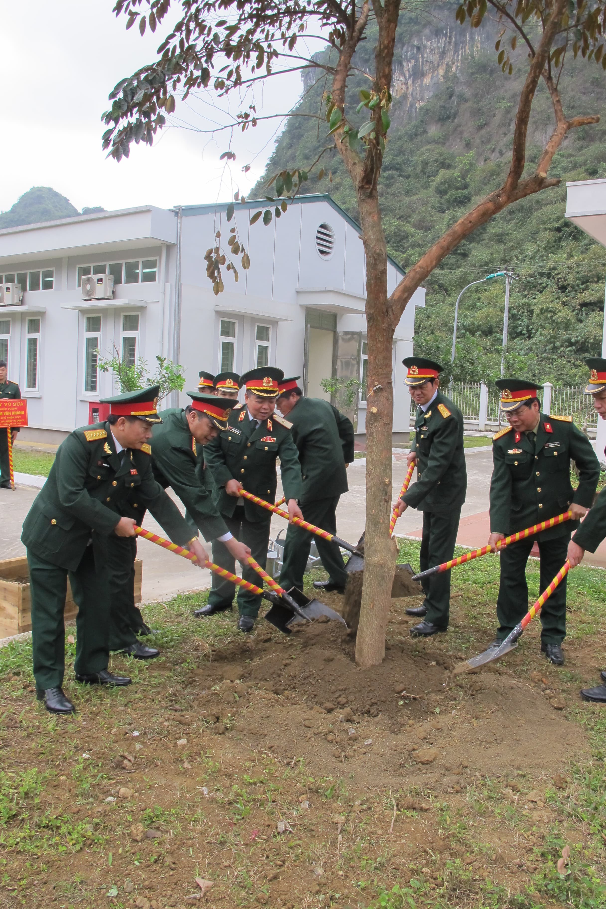 Tích cực trồng cây và phòng, chống cháy rừng
