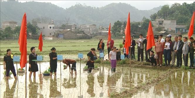 Lễ hội Lồng Tồng - nét đẹp văn hóa của người dân vùng cao Hà Giang