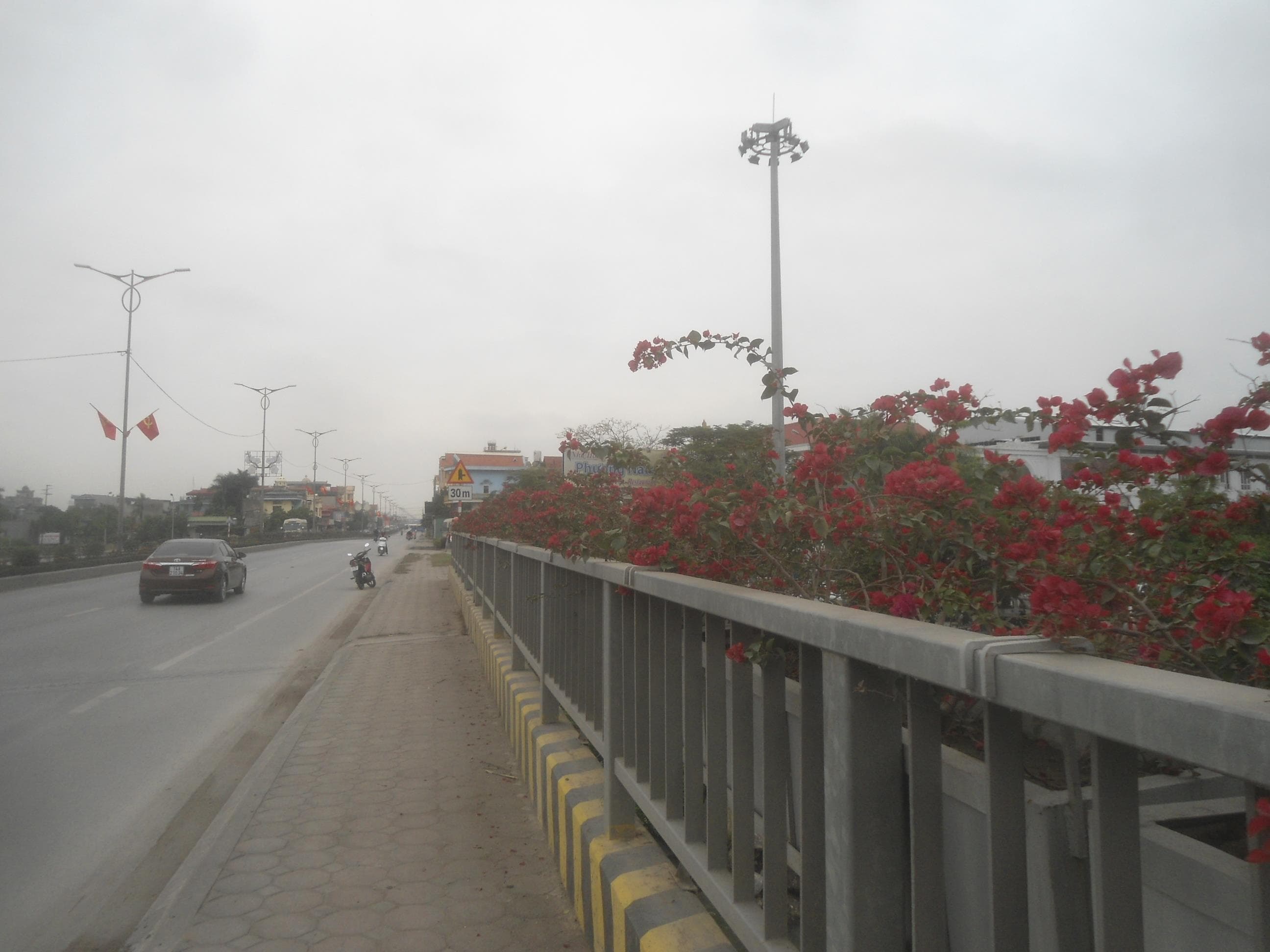 Nhân rộng những chiếc cầu hoa