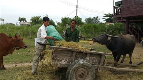 Cán bộ, đảng viên gương mẫu, đi đầu trong phát triển kinh tế - xã hội