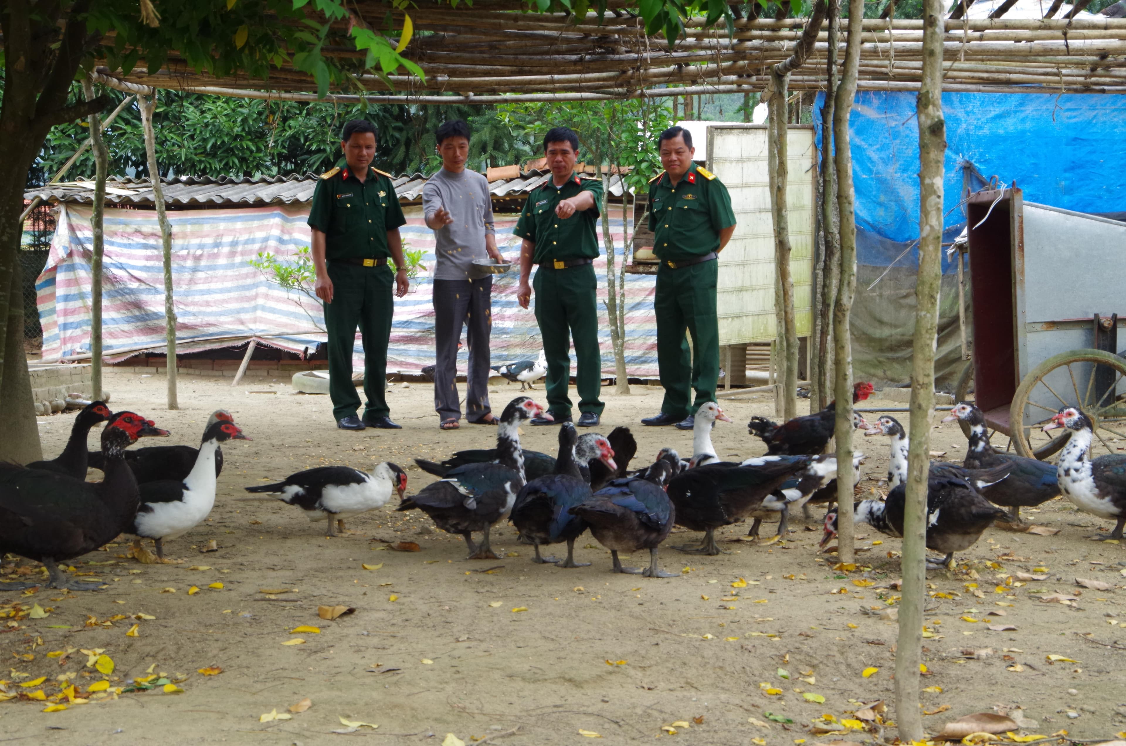 Bộ đội lâm trường trên biên giới