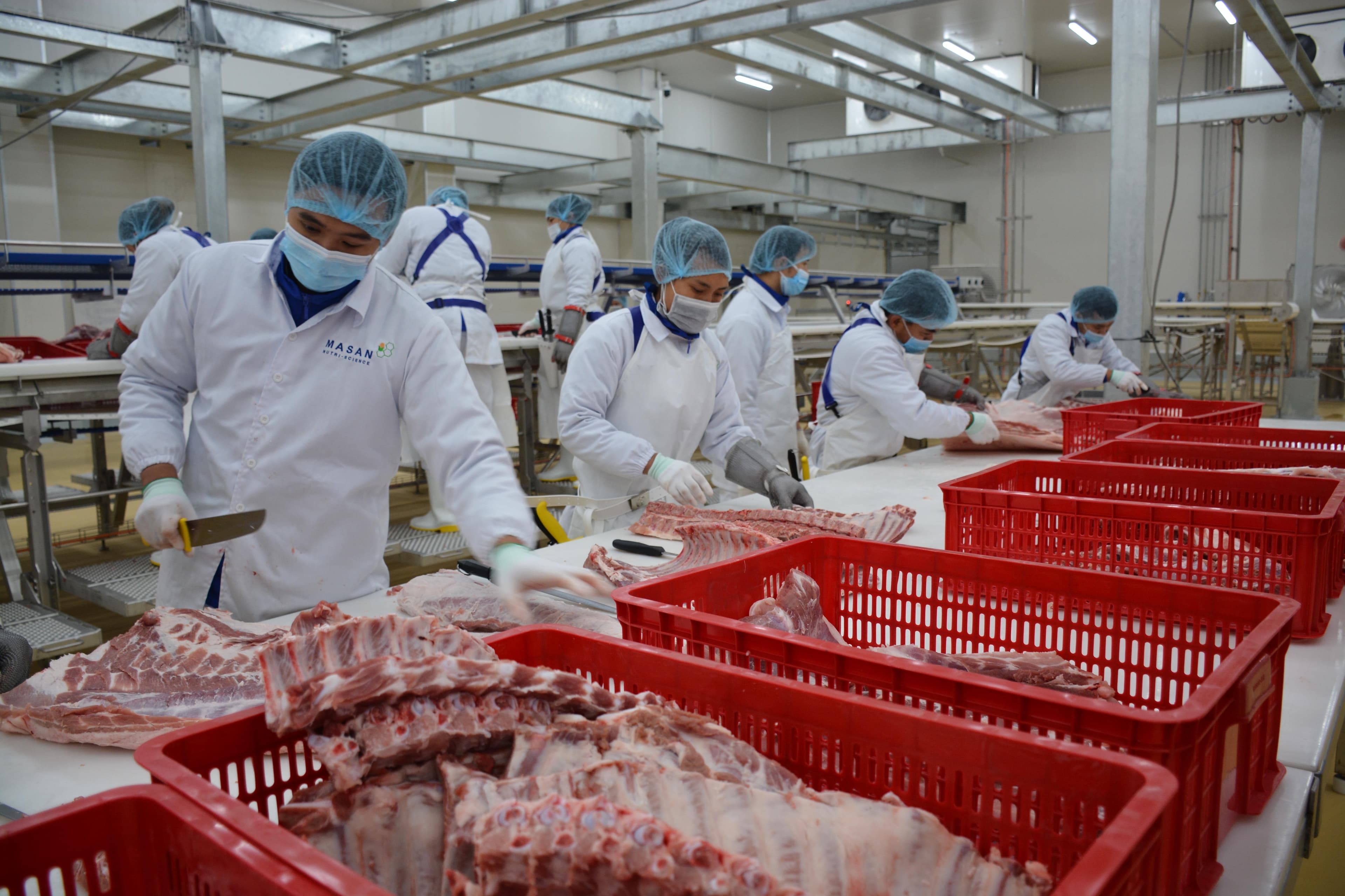 Cấp bách ngăn chặn dịch tả lợn châu Phi