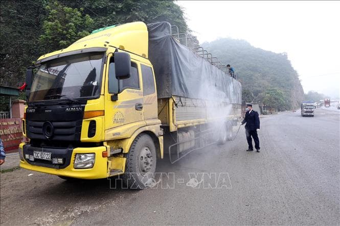 Dịch tả lợn châu Phi đã lan rộng đến 9 tỉnh, thành phố phía Bắc