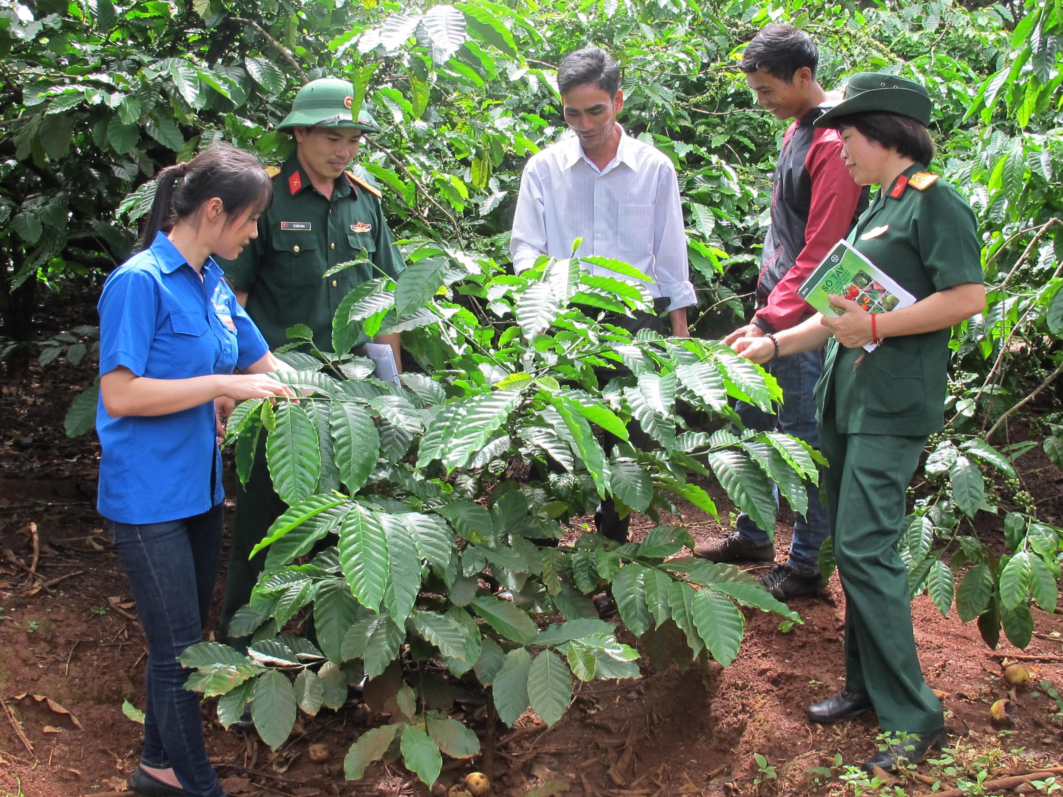 Nâng tầm thương hiệu cà phê Việt Nam
