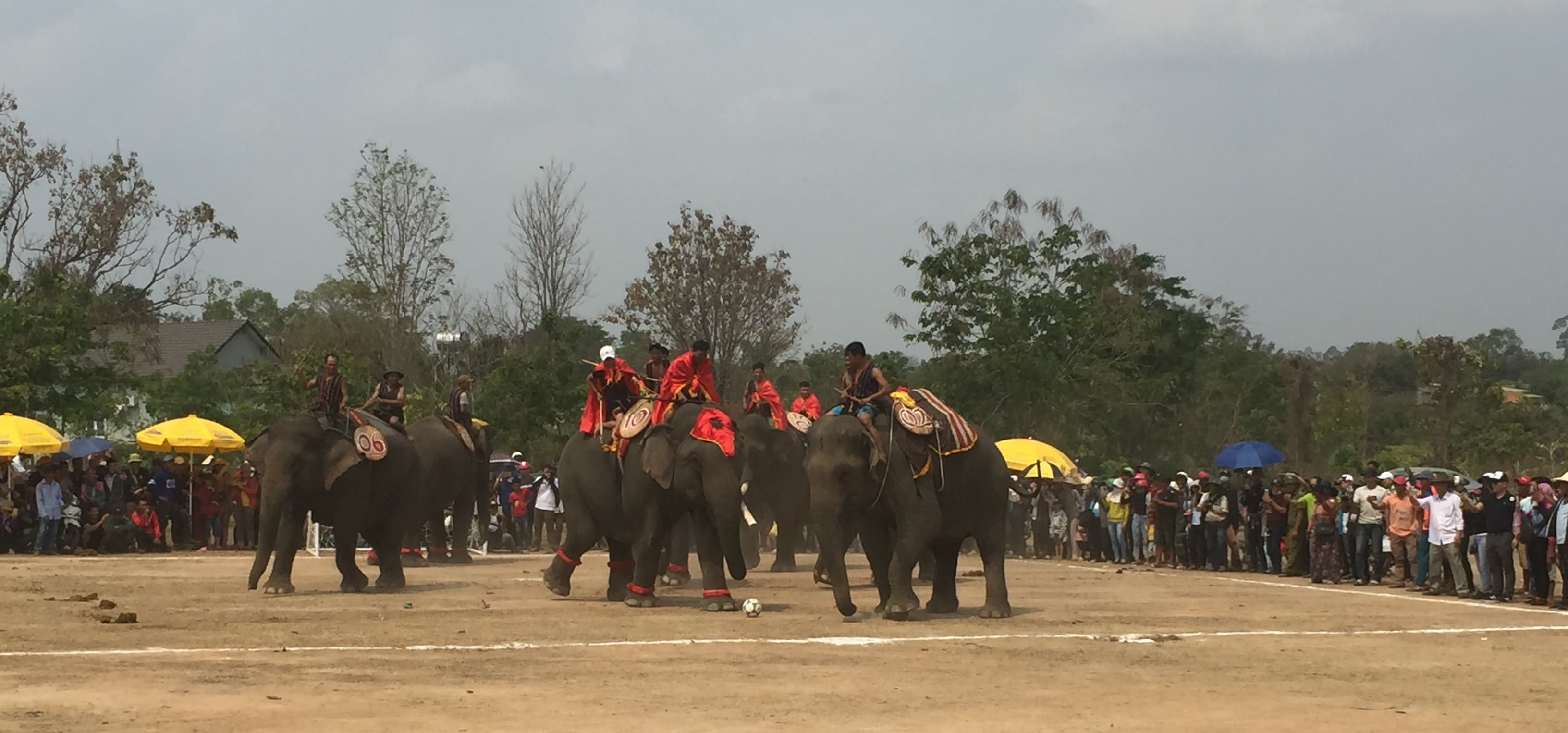 Tưng bừng Hội voi Buôn Đôn