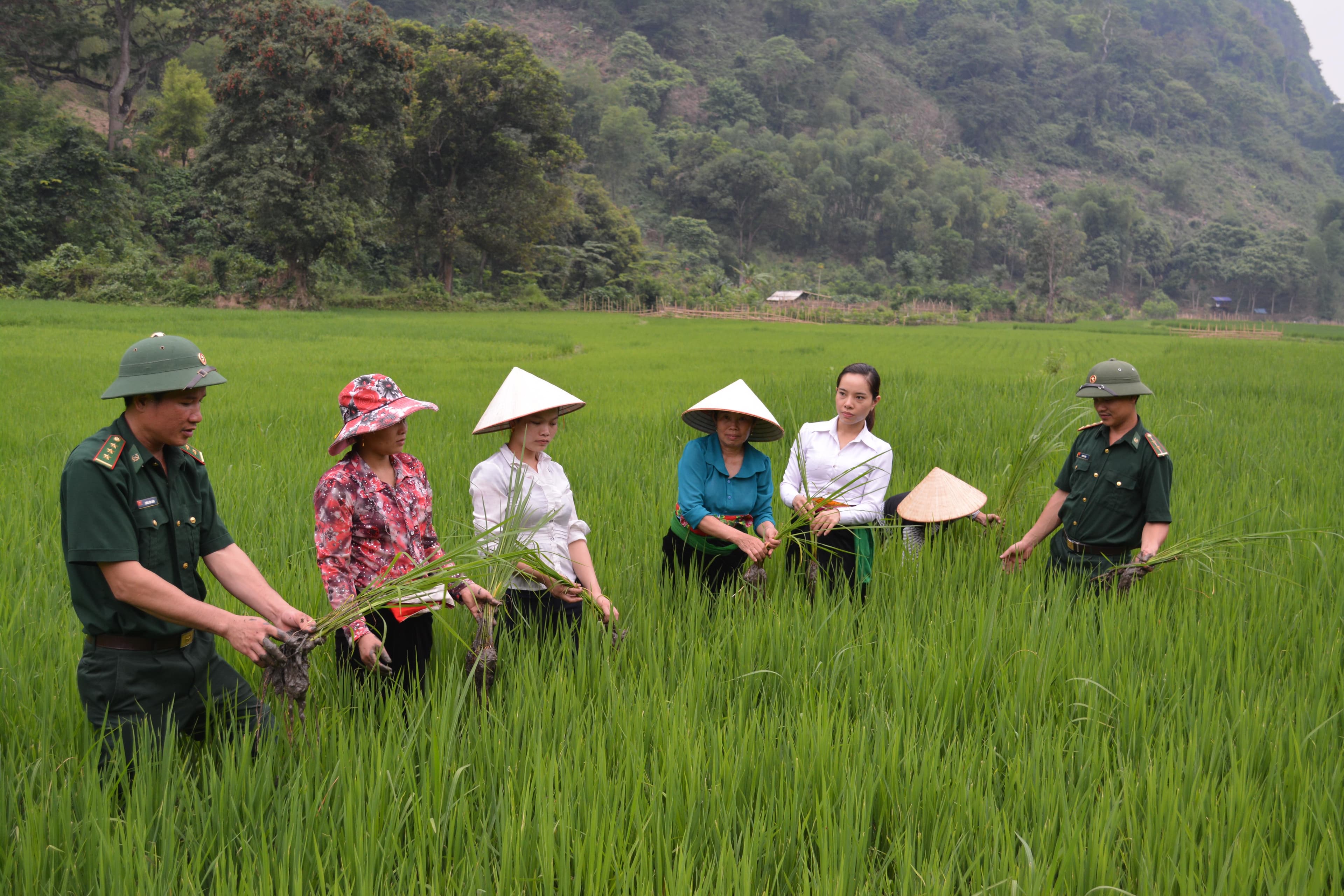 Gieo “hạt giống đỏ”, mang ấm no về bản