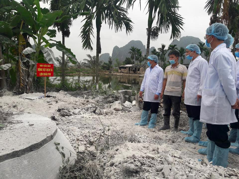 Bộ Quốc phòng chỉ đạo phòng chống, khống chế dịch tả lợn châu Phi