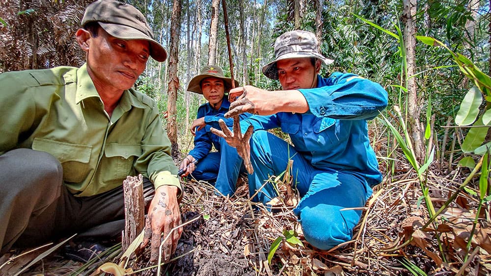 Vườn Quốc gia U Minh Hạ vào mùa cao điểm phòng, chống cháy rừng