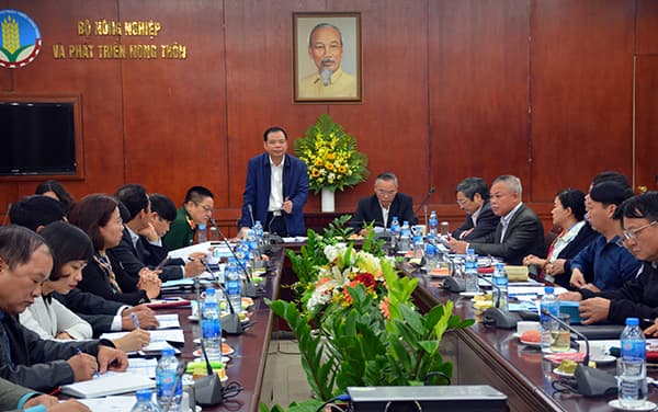 Bệnh dịch tả lợn châu Phi tiếp tục lây lan và diễn biến phức tạp