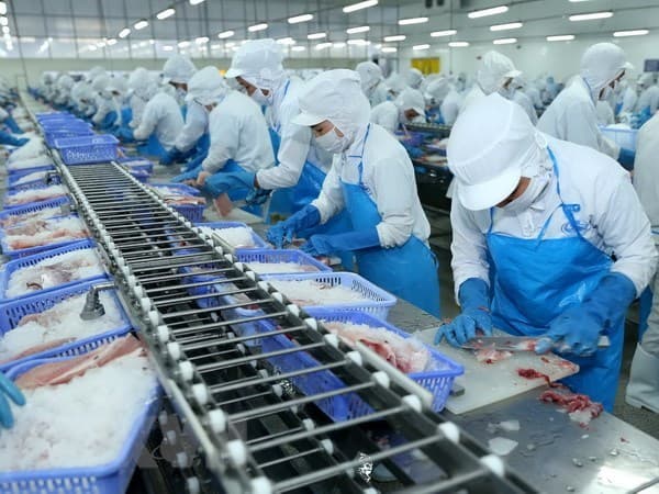 Kinh tế Việt Nam duy trì đà tăng trưởng mạnh