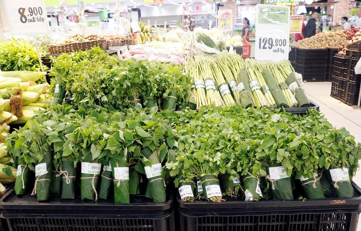 BẢO VỆ MÔI TRƯỜNG LÀ LẼ SỐNG