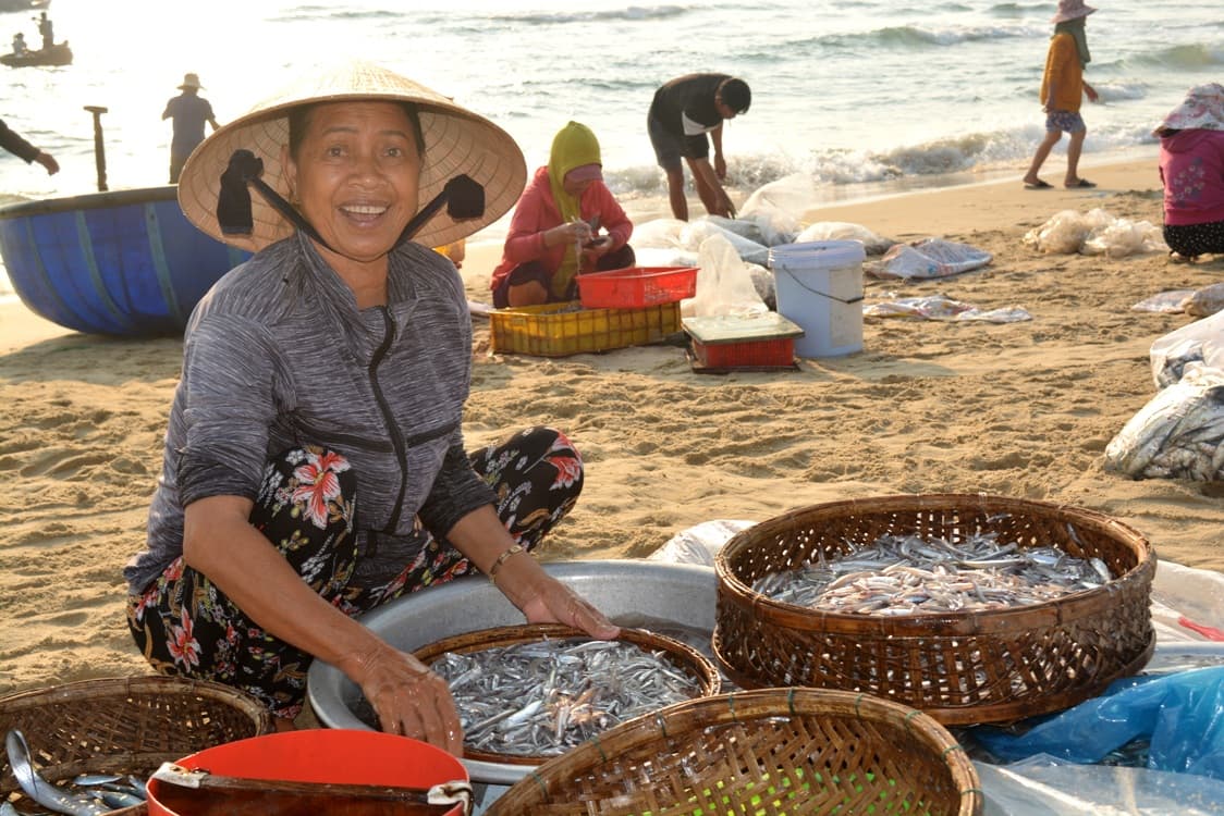 Ngư dân Thăng Bình, Quảng Nam trúng đậm mùa cá biển