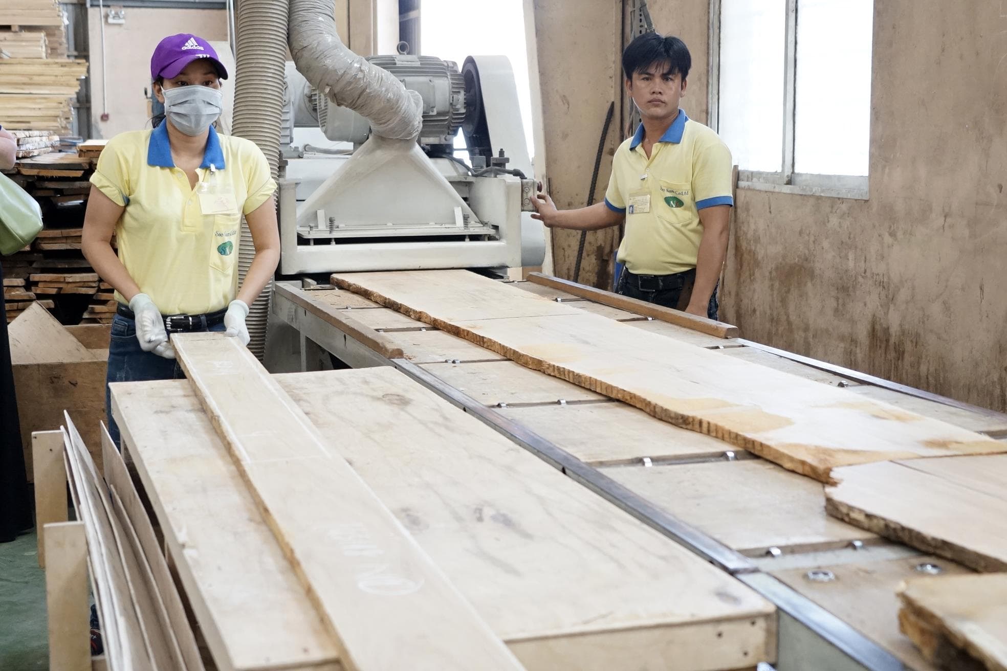 Xây dựng nhiều vùng nguyên liệu gỗ lớn, đạt chất lượng