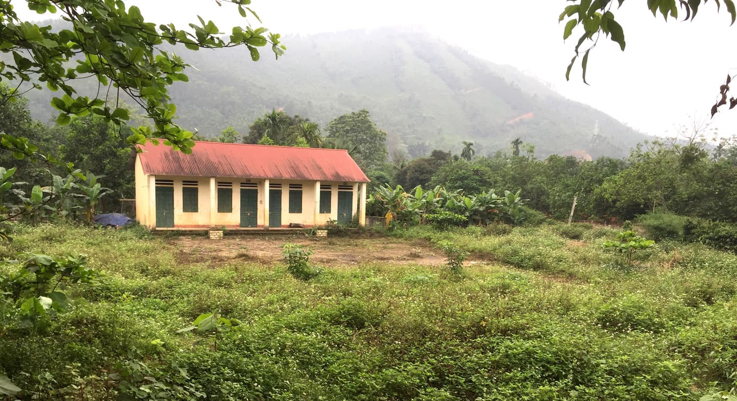 Thông tin từ đường dây nóng