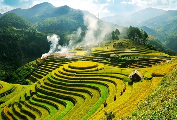 Ruộng bậc thang Mù Cang Chải lọt tốp 20 địa điểm sắc màu nhất thế giới