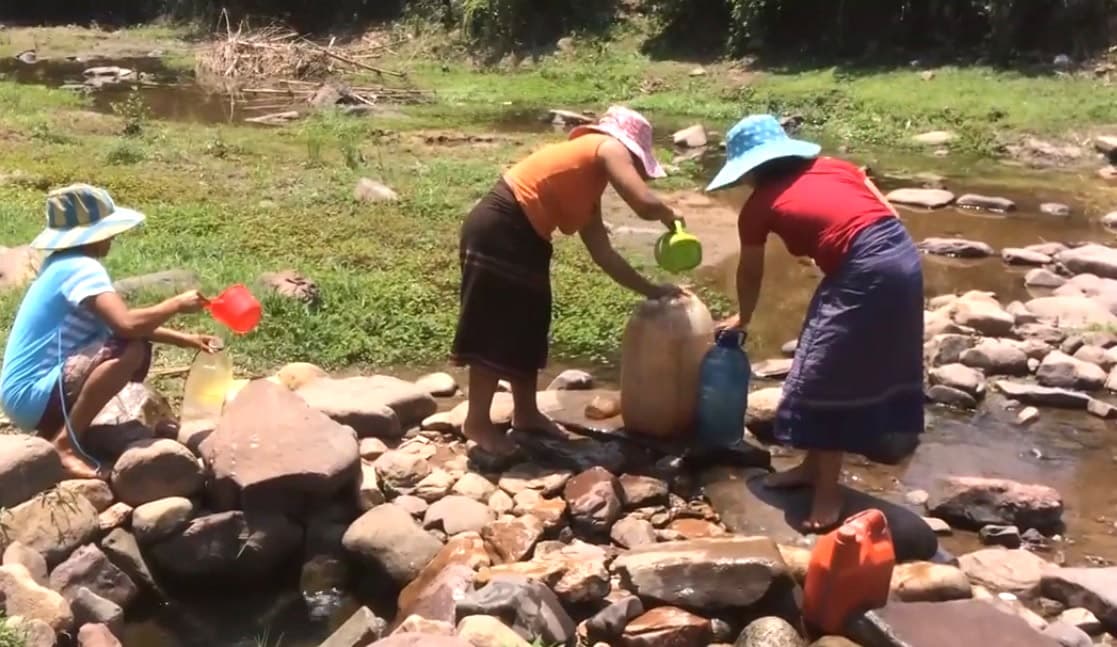 Thông tin từ đường dây nóng