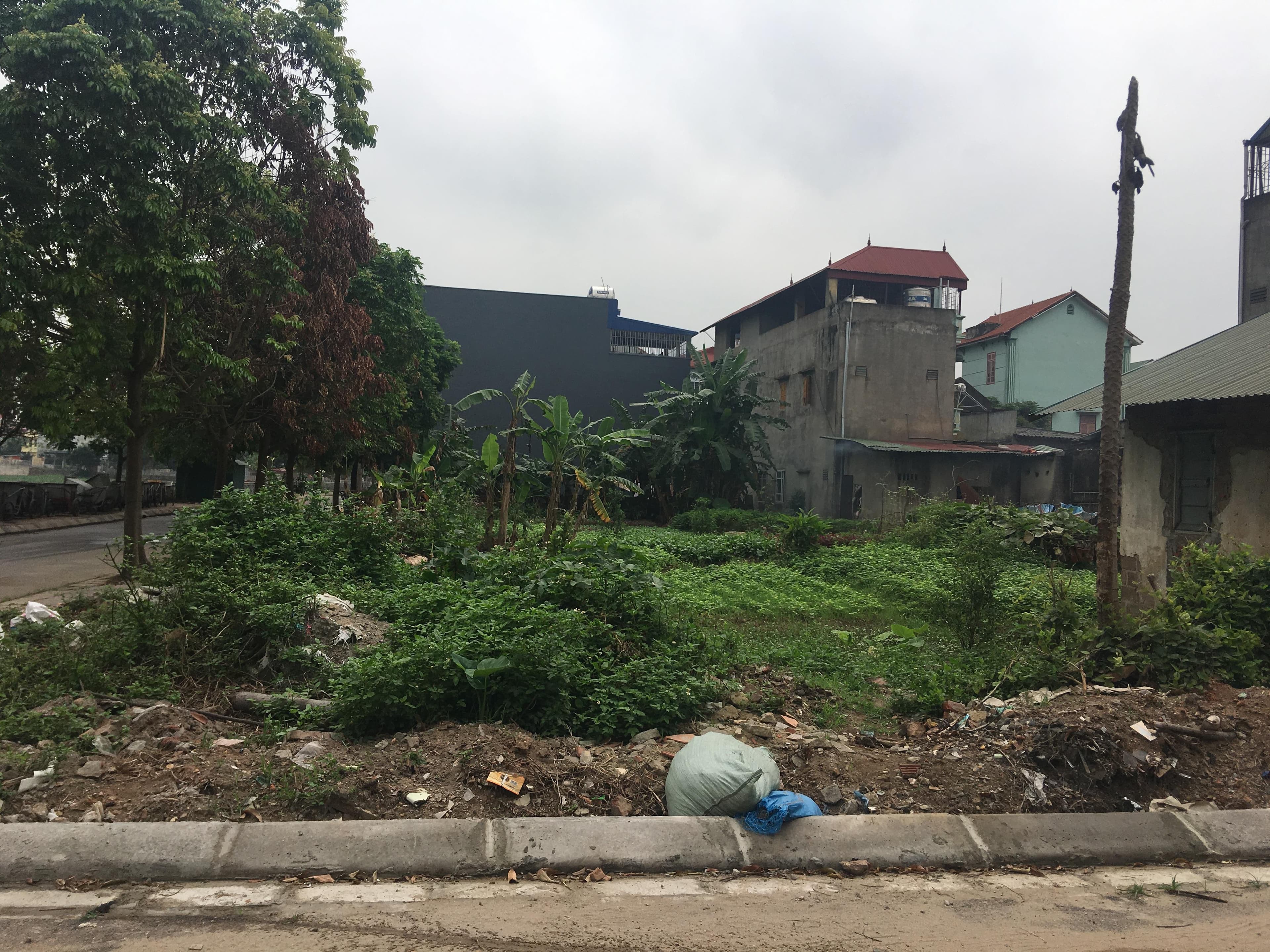 Không đủ căn cứ để giải quyết trả lại đất