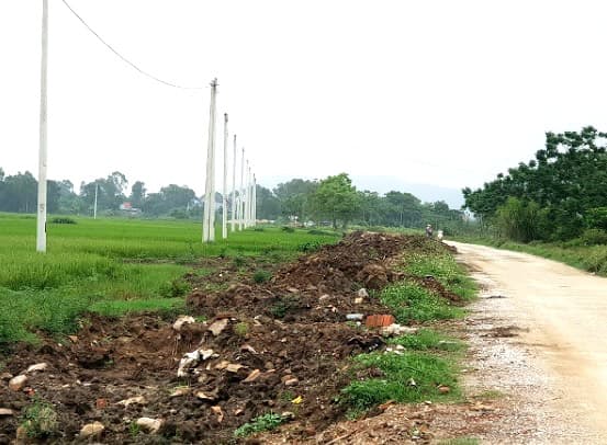 Thông tin từ đường dây nóng