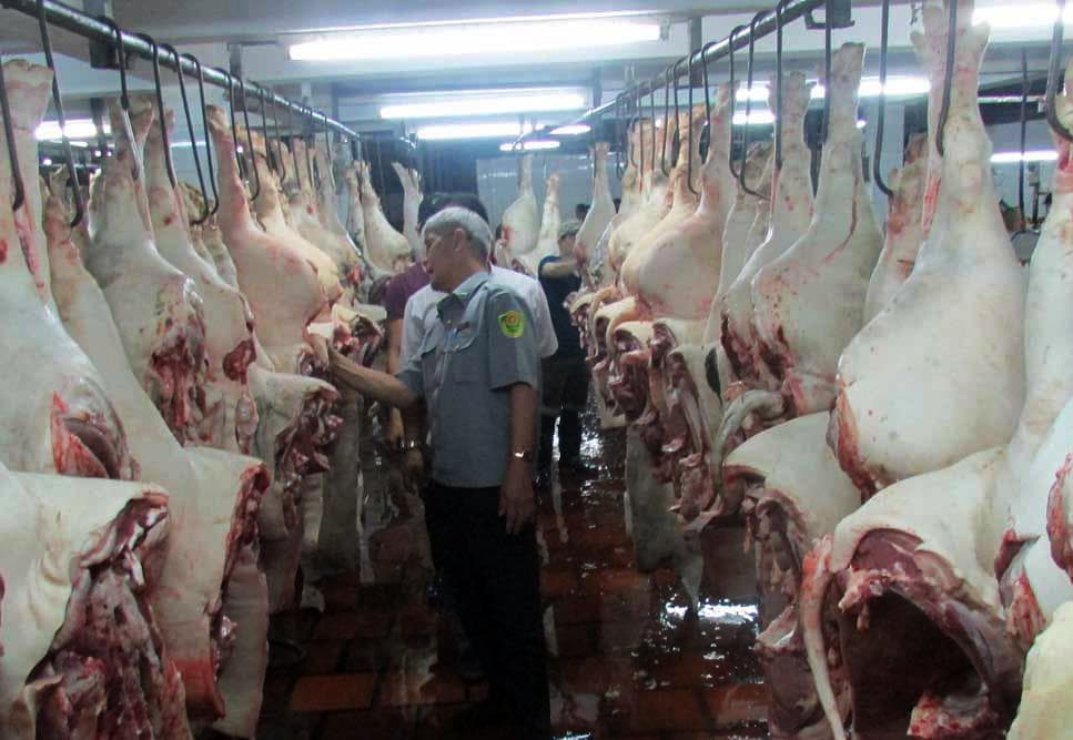 Kiểm soát chặt, phối hợp ứng phó trên diện rộng
