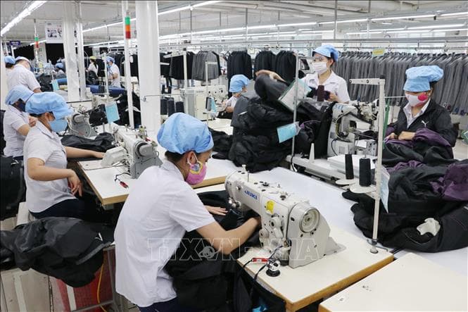 Việt Nam quan tâm đến Công ước mới về chấm dứt bạo lực và quấy rối trong công việc