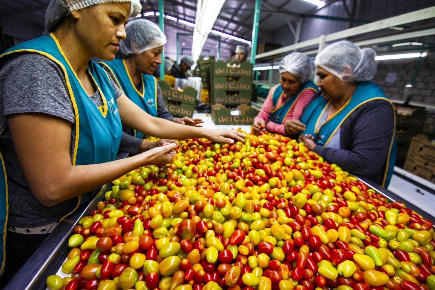 Mỹ quyết áp thuế hàng hóa với Mexico vì vấn đề nhập cư