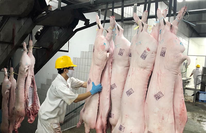 TP Hồ Chí Minh kiểm soát chặt nguồn thịt lợn đưa vào hệ thống siêu thị
