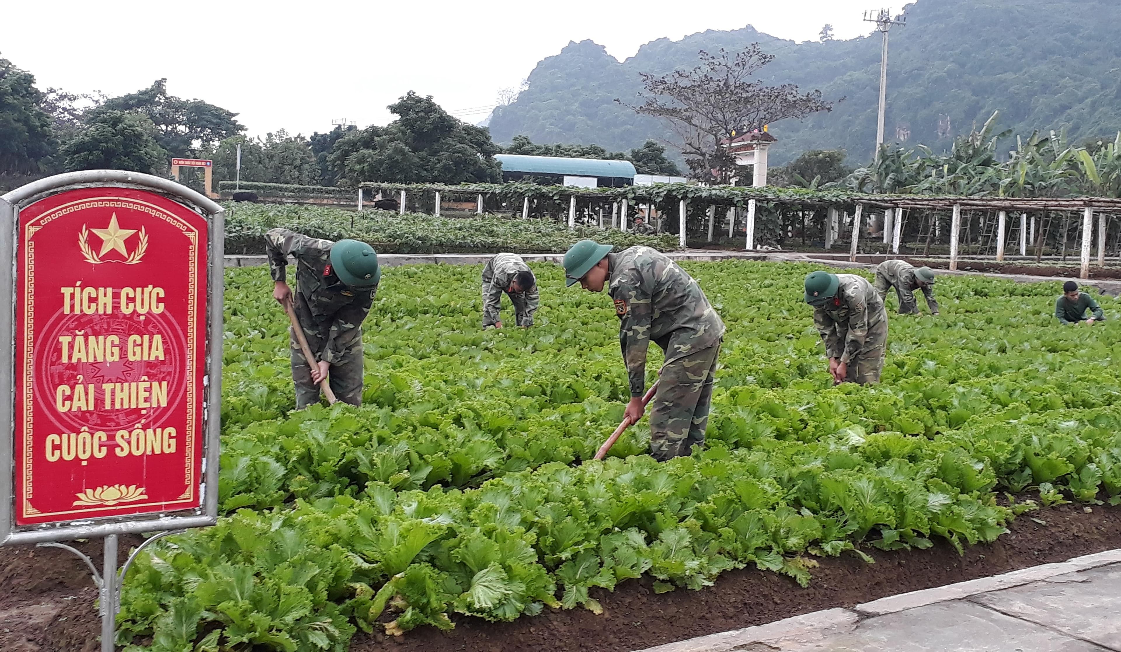 Điểm sáng hậu cần ở Trung đoàn 335