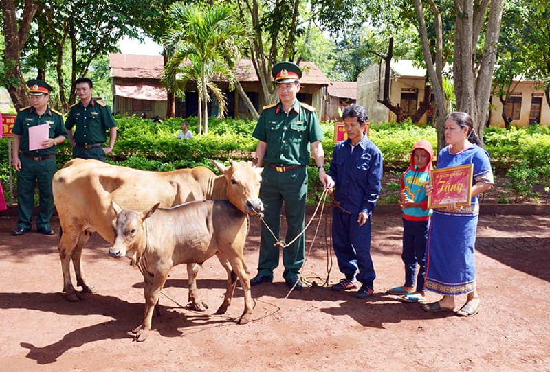 Binh đoàn 15 hỗ trợ bò giống cho gia đình khó khăn vùng biên giới