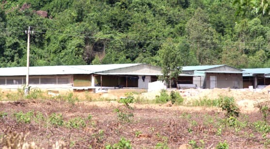 Thông tin từ đường dây nóng