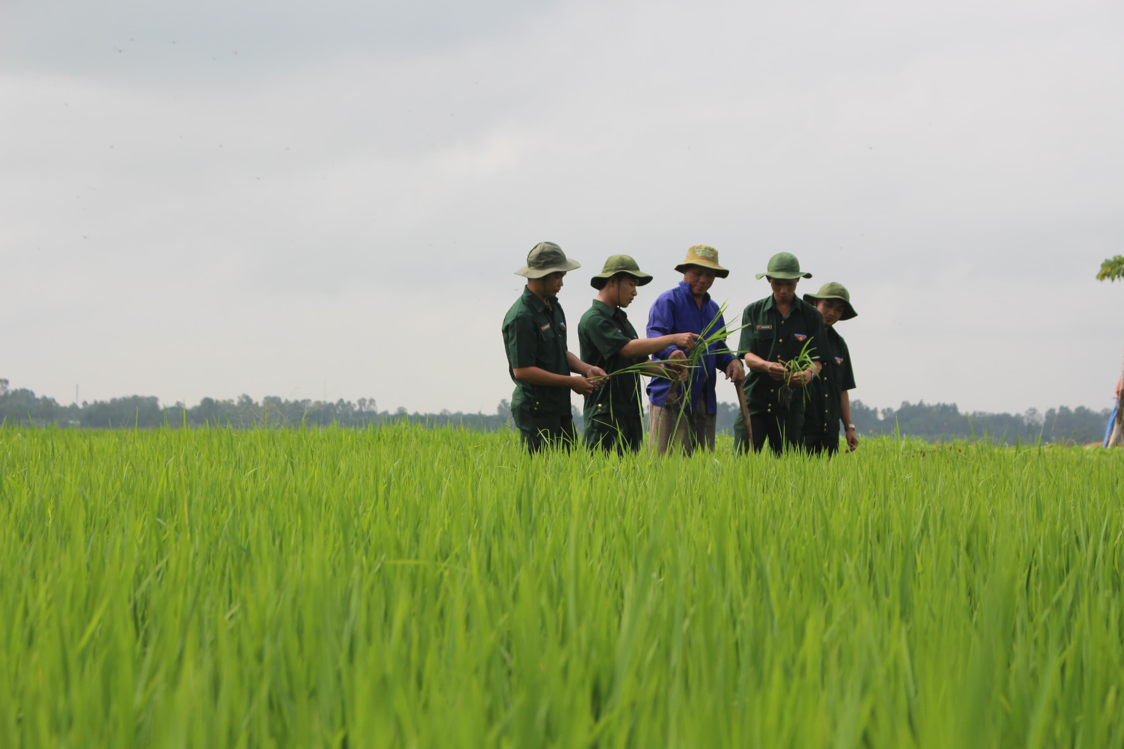 Loay hoay tìm giải pháp tuyển dụng trí thức trẻ tình nguyện