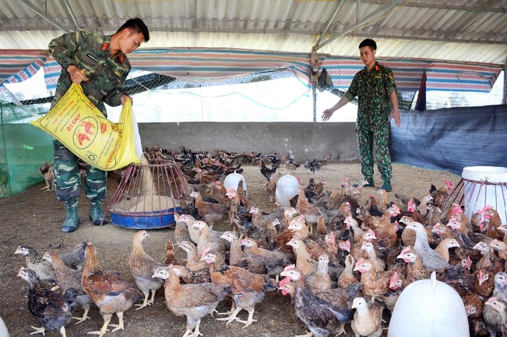 Dù gian khó vẫn đạt hiệu quả cao nhờ mạnh dạn, sáng tạo