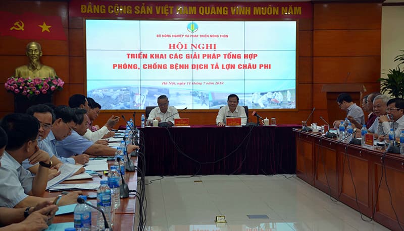 Tiêu hủy 3,3 triệu con lợn do bệnh dịch tả lợn Châu Phi