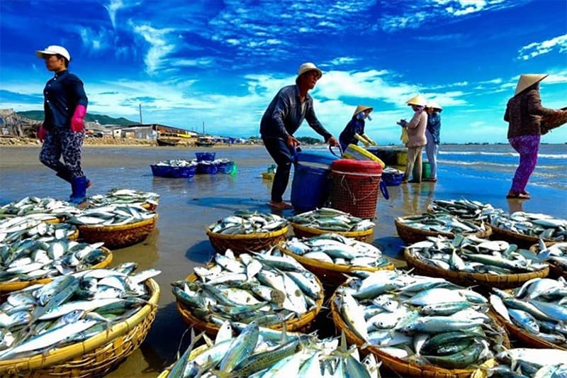 THƯƠNG VỀ MIỀN TRUNG
