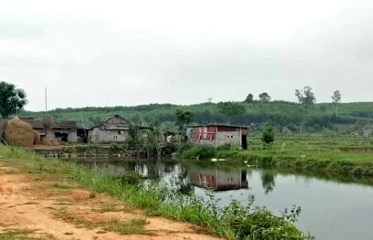 Thông tin từ đường dây nóng
