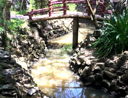 Thông tin từ đường dây nóng