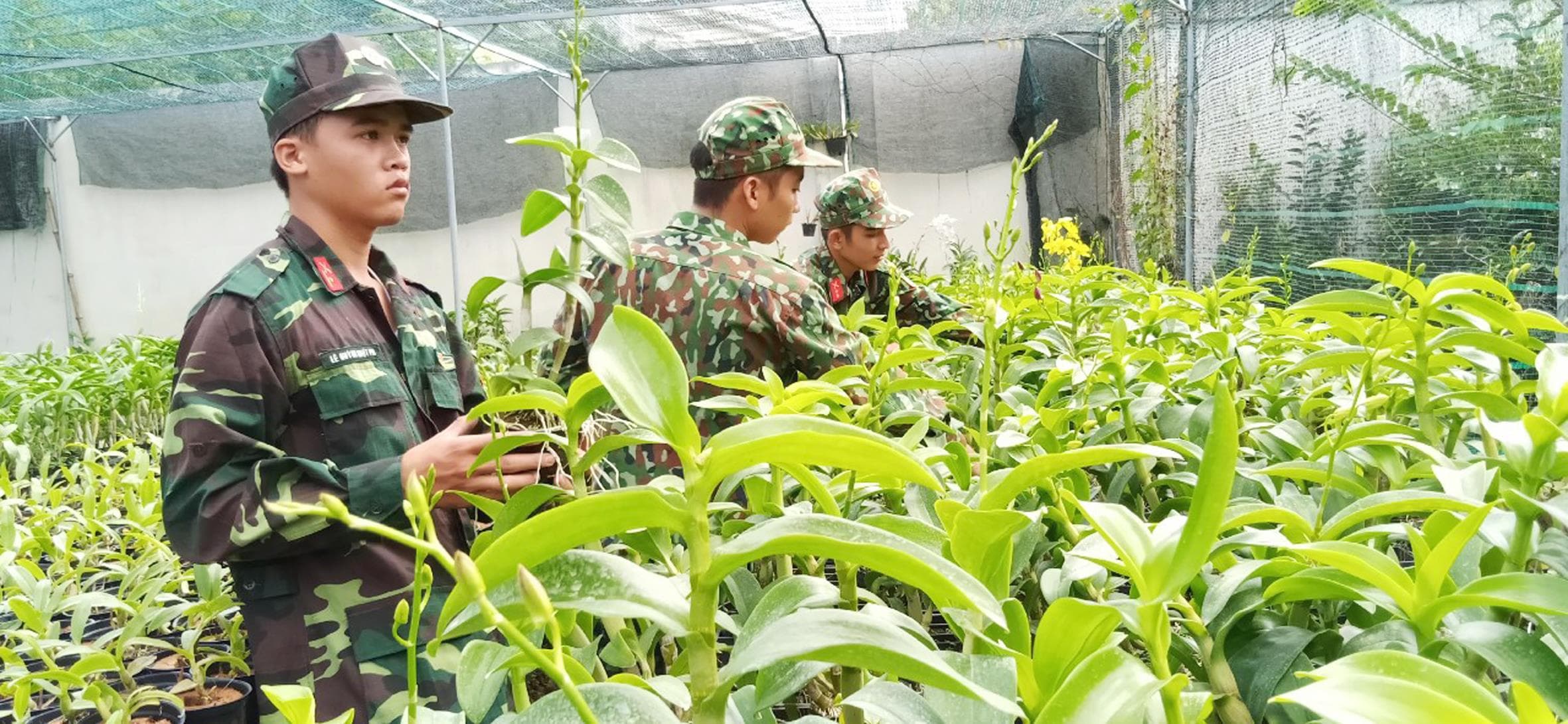 Khi đơn vị có vườn lan...