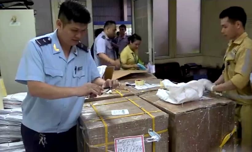 Bắt giữ 55 khúc sừng tê giác giấu trong khối thạch cao