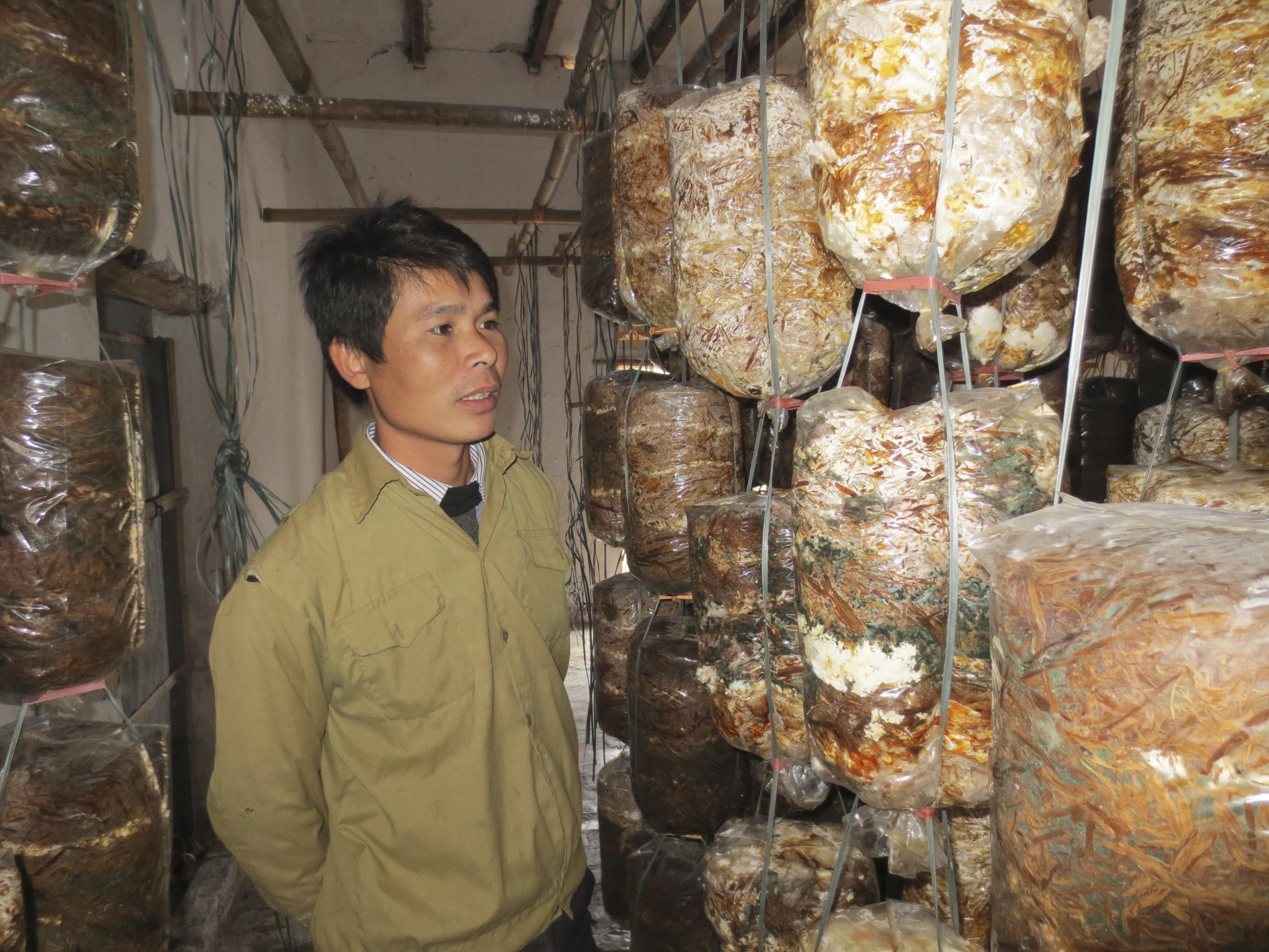 Hỗ trợ sinh kế bền vững cho người dân vùng rừng ngập mặn