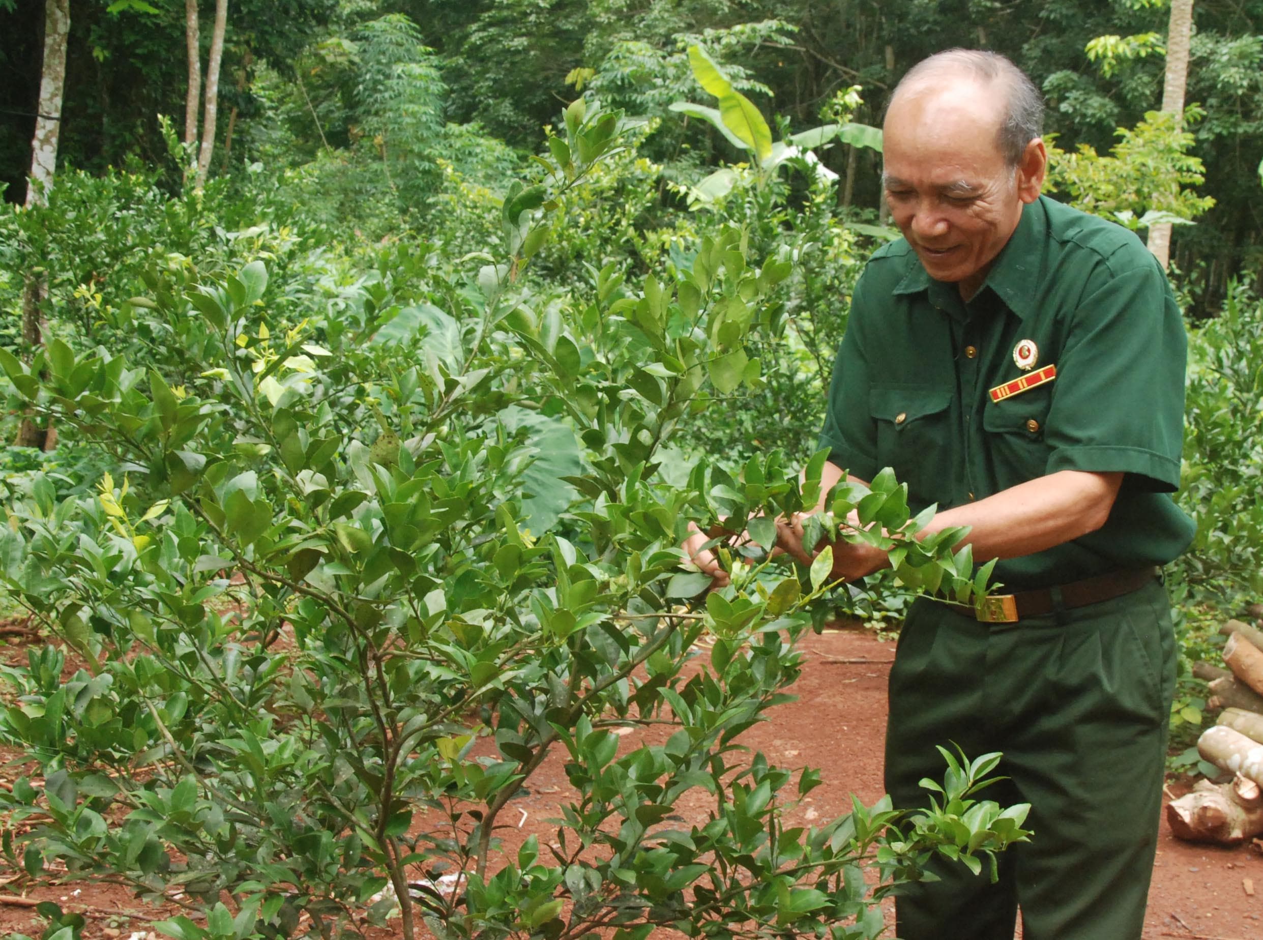 Gương mẫu, tận tâm với công tác hội