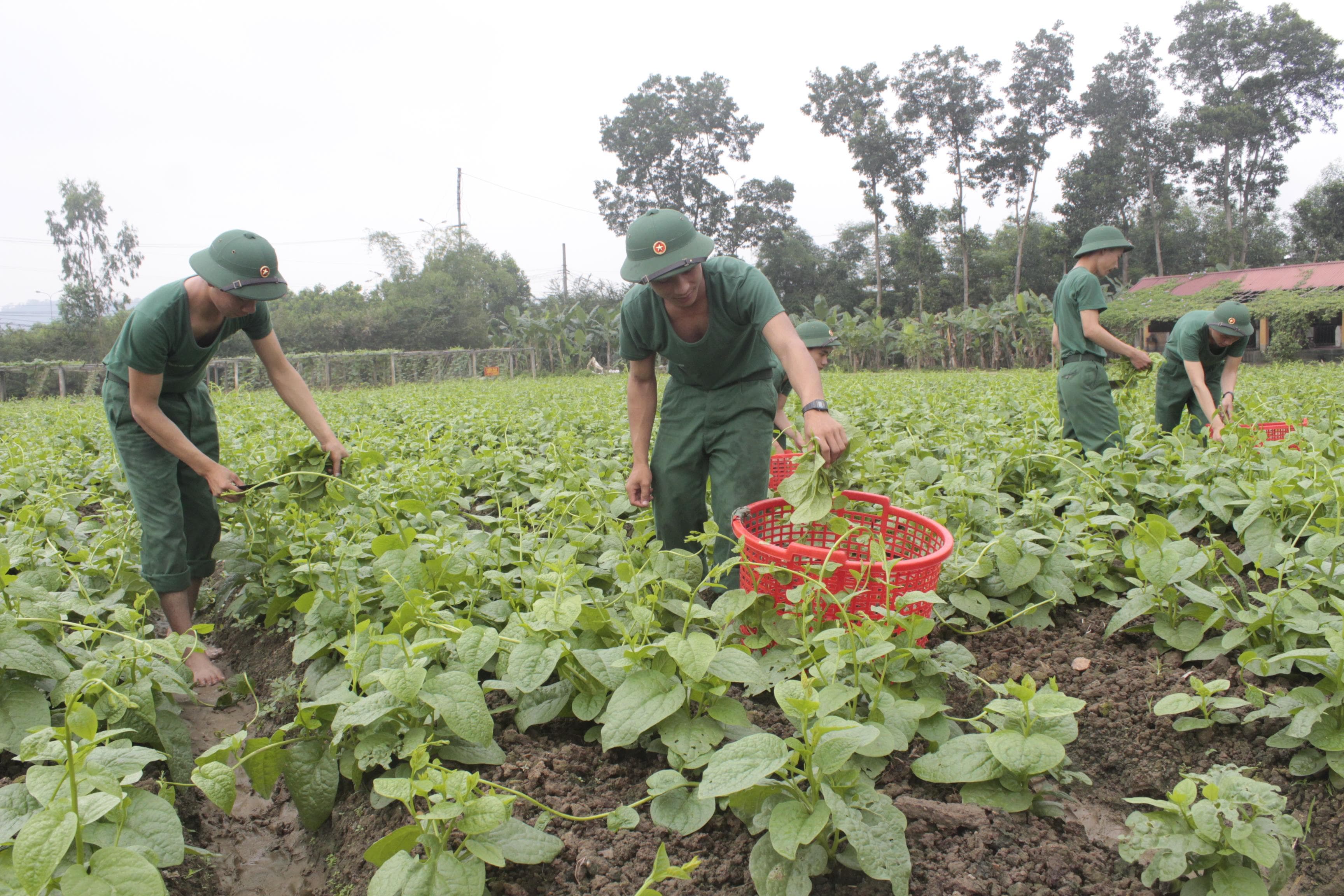 Chuyện “thực túc” ở “một bốn tám”