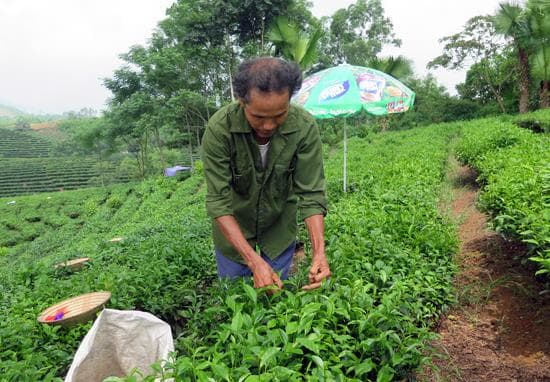 Đổi thay trên quê hương cách mạng Phú Đình