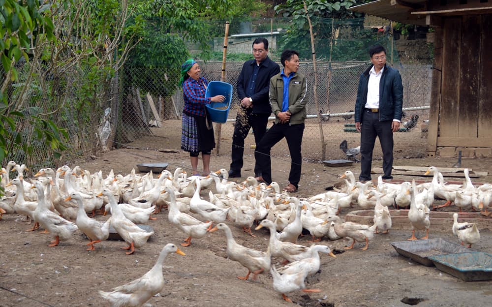 Những nông dân “05”