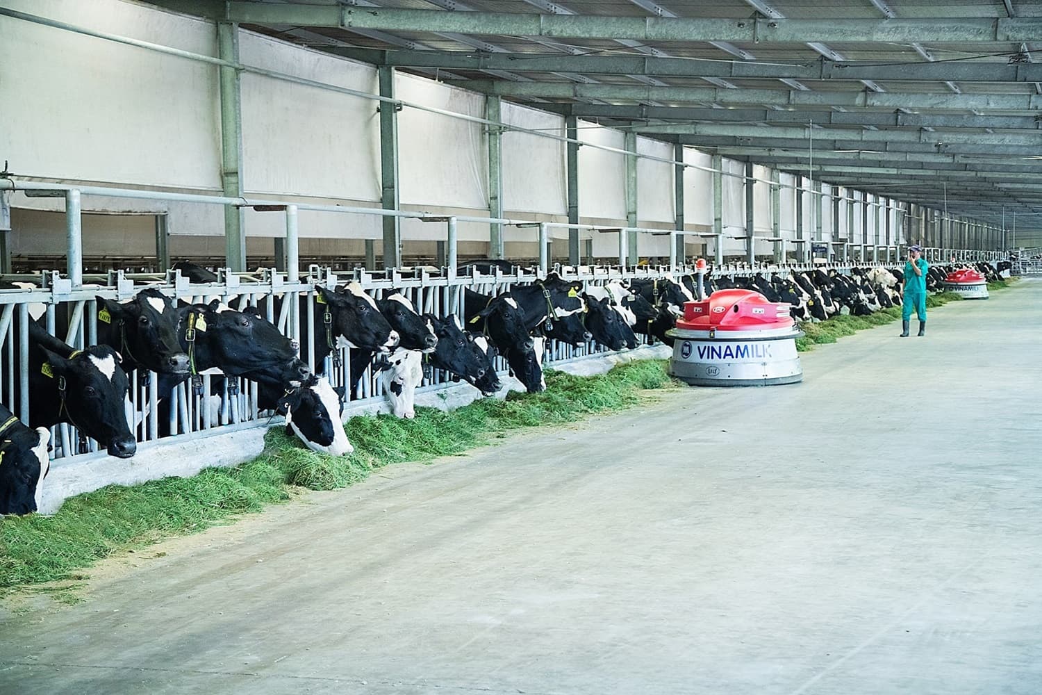 Vinamilk “phủ sóng” nhiều các bảng xếp hạng uy tín trong và ngoài nước