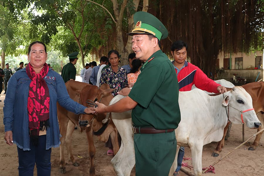 Trao bò giống tặng nông dân nghèo khu vực biên giới Việt Nam - Campuchia