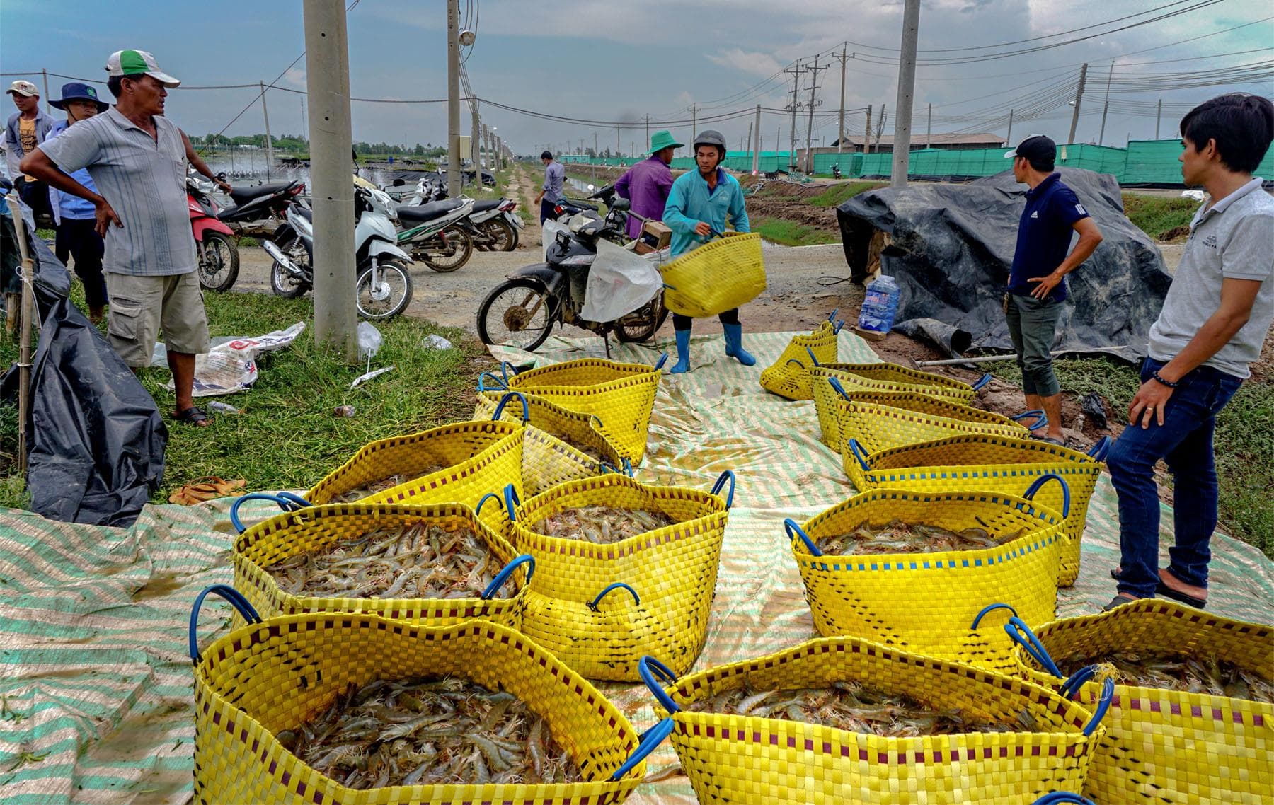 Vì sao chỉ thành công... "một nửa"?