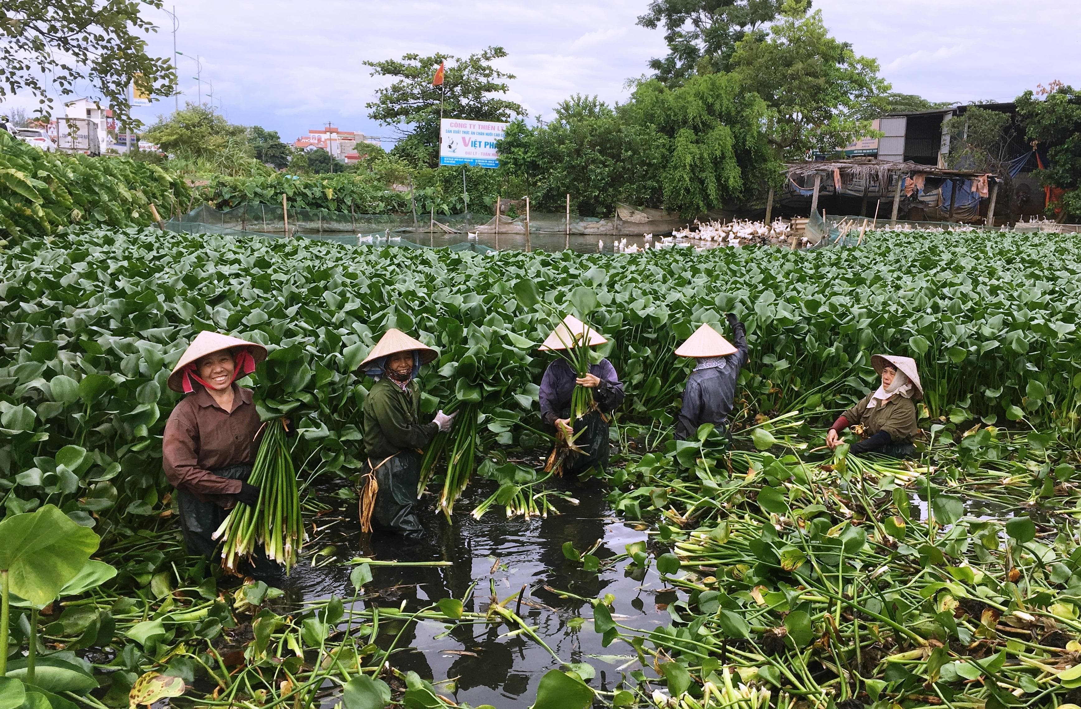 Tận dụng nguyên liệu tự nhiên làm hàng thủ công